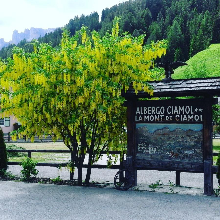 Hotel Ciamol 캄피텔로디파사 외부 사진